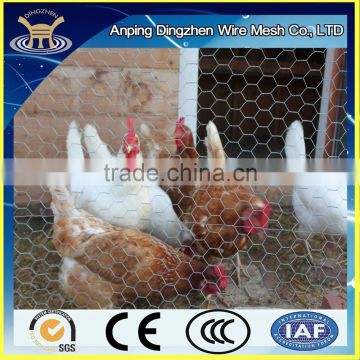 zinc powder coating used chicken wire for sale [Chicken wire fencing China supplier]