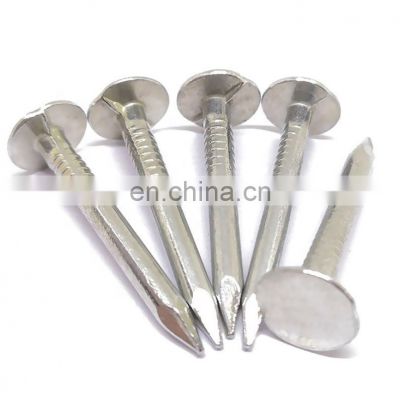 High Quality Wire Nails/Common Wire Nails/Steel Wire Nails Made in China