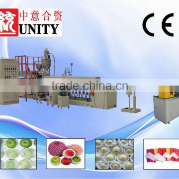 PE foaming mesh extruder machine plastic(TYEPEW-75 CE Approved)
