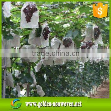 Grapes and banana are packaged by pp non woven fabric by Golden nonwoven