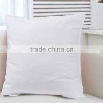 Cushion Throw Pillow Insert