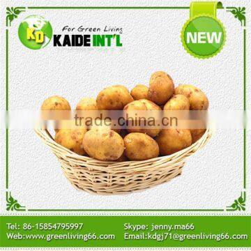 Fresh Potato Specification