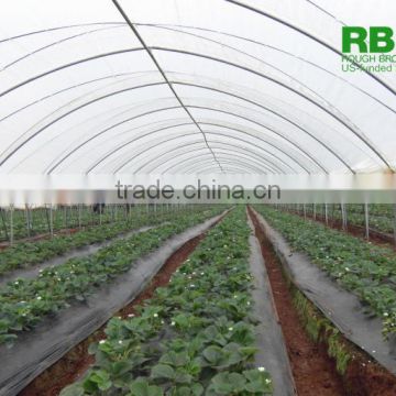Poly Tunnel for Strawberries Tropical Greenhouse Tunnel for Sale