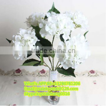 Wholesale multi colors Hydrangea flowers for decoration