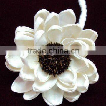 Handmade sola flower