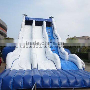 popular newest giant dolphin inflatable slide for kids and adults