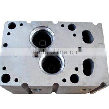 Agricultural Products of China Engine Single Cylinder Heads