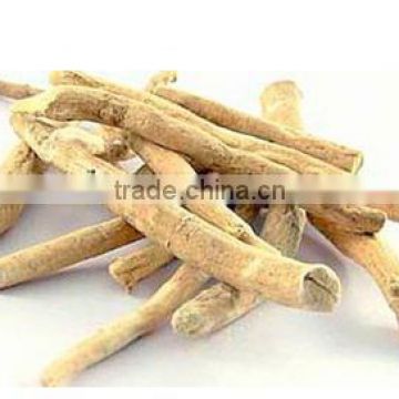 High Quality Cheap Natural Withania Somnifera