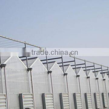 multi span poly carbonate PC agriculture commercial greenhouse