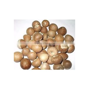 Dried Betel Nut High Quality and competitive price From Vietnam