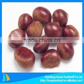 yummy low price chestnuts with reasonable price
