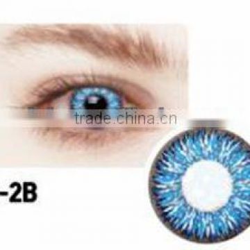 monthly reusable color contacts GMP korea