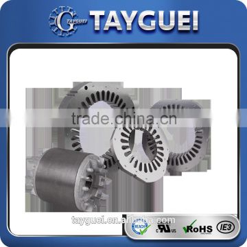 single phase and three phase Industrial Motor Stator Rotor stamping