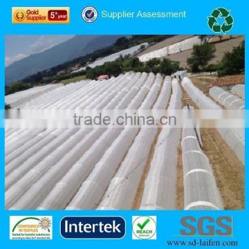 17gsm 3%UV Agricultural nonwoven fabric, PP Spunbond agricultural nonwoven crop cover