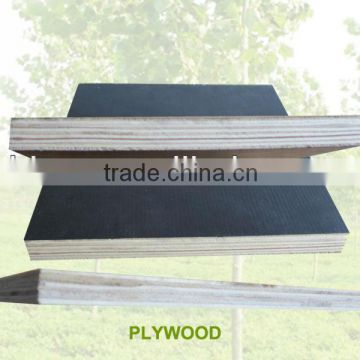 FSC plywood/FSC certified plywood /FSC film faced plywood