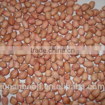 new crop groundnuts