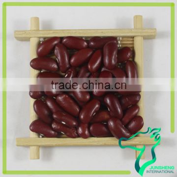 New Crop Chinese Origin Dark Red Kidney Beans