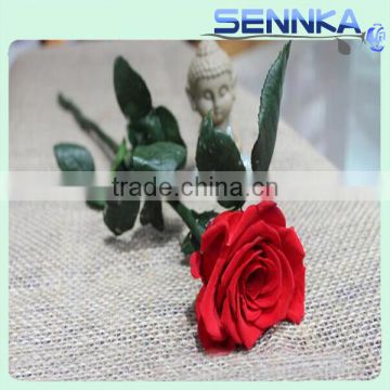 Cut fresh flowers long time preserved rose/carnation/hydrangea flowers directly export from yunnan