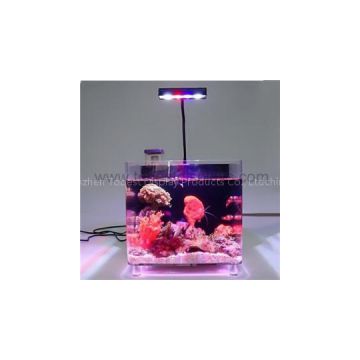 Aquaponics Fish Tank