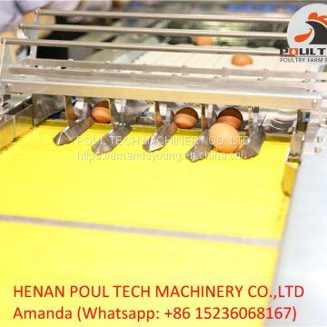 Egg Grading Sorting Machine for Chicken Farm