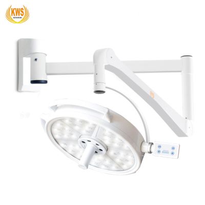 108W LED Plastic Surgery Veterinary Medical Oral Implants Wall Shadowless Operation Light Lamp