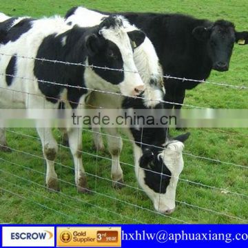 ISO 9001:2008 High Quality And Low Price Wire Mesh Cattle Fence(Factory Direct Sale)