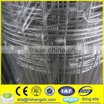 hot sales hinge joint hot dipped sheep wire