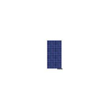 GYP-280P  Polycrystalline Solar Panel