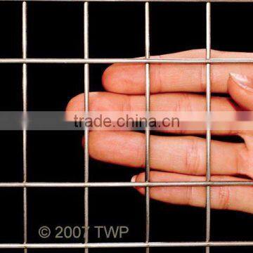 welded wire mesh 50x50