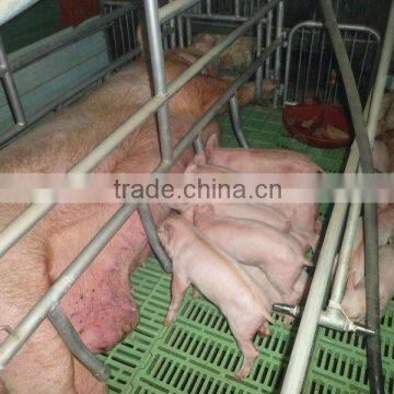 Poultry farms equipment, animal husbandry equipment, plastic floor beams for Pig farming equipment