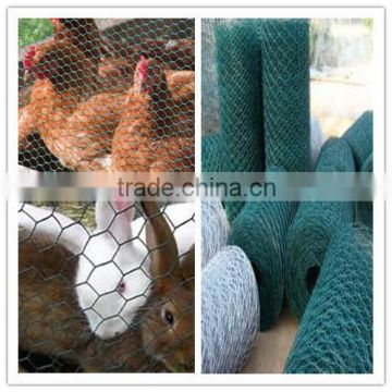 hexagonal chicken wire mesh/pvc coated/galvanzied hexagonal wire mesh