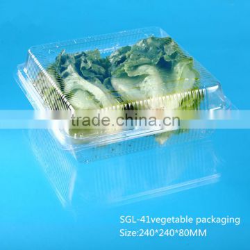Alibaba China Disposable Plastic vegetable box with transparent hinged lid