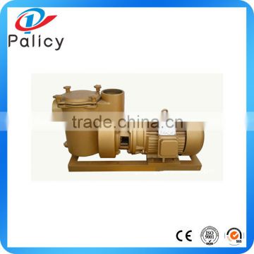 Factory sale top quality cooper swimming pool Water Pump 10P big power