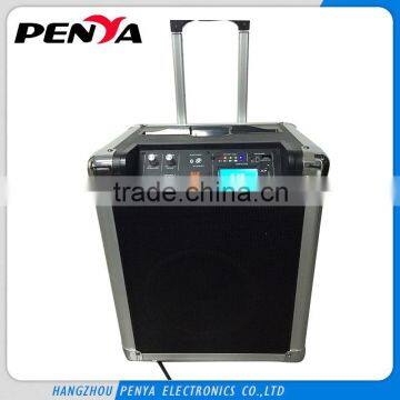 2015 Hot selling widely use 30w vibration speaker