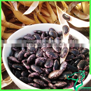 Black Speckled Kidney Beans With Competitive Price