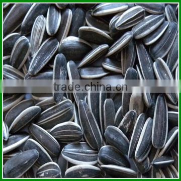 Sale Chinese Best Quality and Cheap Raw Sunflower Seeds In Bulk for Bird Food