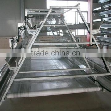 Poultry equipment Layer House