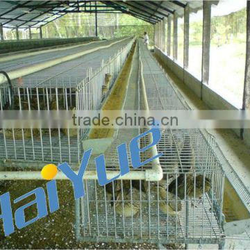 taiyu quail poultry quail cage