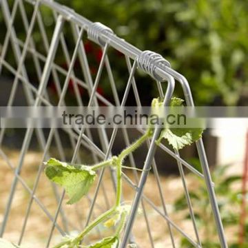 Cucumber trellis for raised beds or small garden