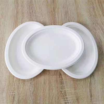 biodegradable disposable oval plates wholesale