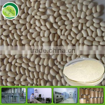 High quality white kidney bean extract powder