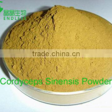 Pure natural cordyceps sinensis extract price cordyceps