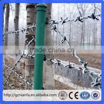 barbed wire roll price fence/cheap barbed wire(Guangzhou Factory)