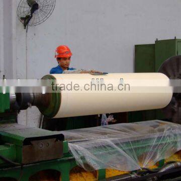 Huansheng nylon roller for calander in textile