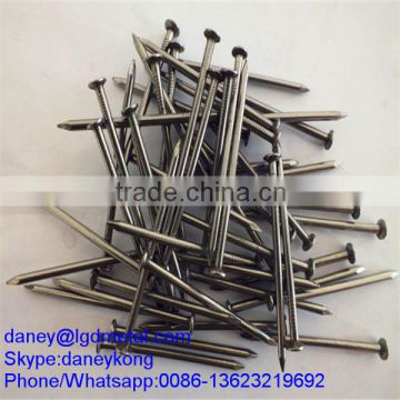 China ISO factory Common Nail/ Wire Nail/ Umbrella Roofing Nail CN-073D