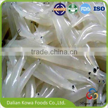 Factory Supply Frozen Whitebait Dried Small Silverfish White Bait - China  Silverfish, Frozen Squid Ring