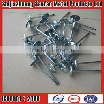 Sell Twisted shank Electro galvanized Umbrella roofing nail