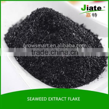 Good supplier seaweed bio fertilizer