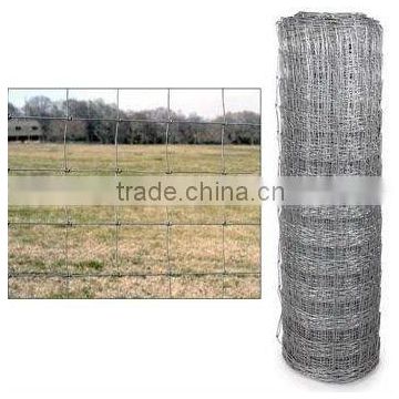 Hot-dipped/Galvanized Field Fence(colors:white,green or as required)