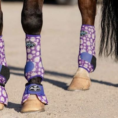 lightweight neoprene leg protector horse equipment equestrian horse tendon boot